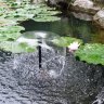 Фонтан садовый Ocean 20W с водяным насосом 
